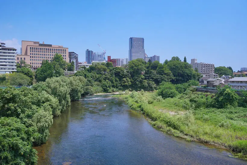Sendai skyline